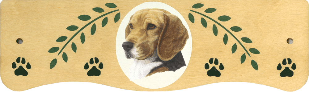 (image for) Large Beagle Top